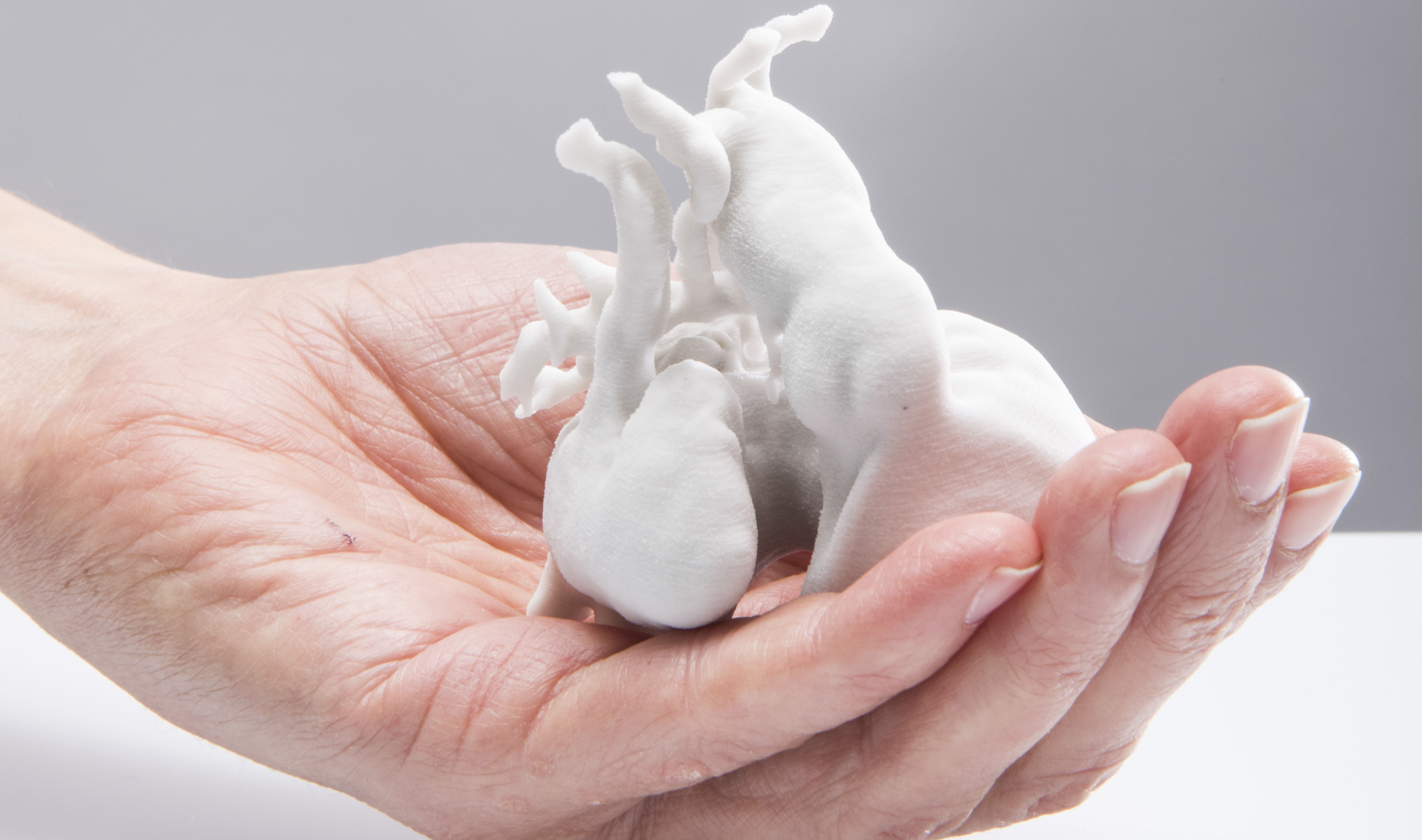 A hand holds a 3D printed model of a human heart A hand holds a 3D printed model of a human heart